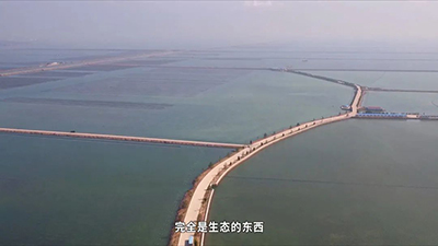 刺參工業化養殖技術研發 突破種業‘卡脖子’難題，推動海水養殖創新發展