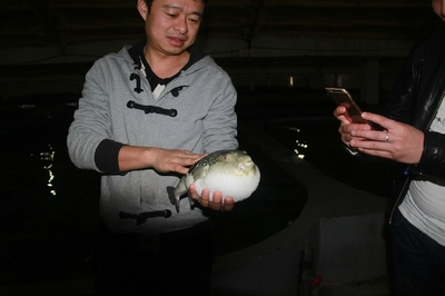 大連啟航“海魚陸養”保險，海水養殖技術研發迎來新機遇