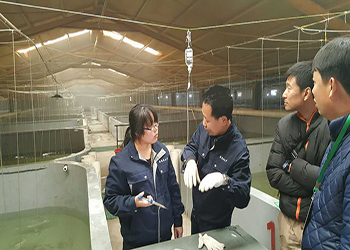 我國海水養(yǎng)殖技術新突破 告別'嗑藥'魚，首個海水魚活疫苗投產應用